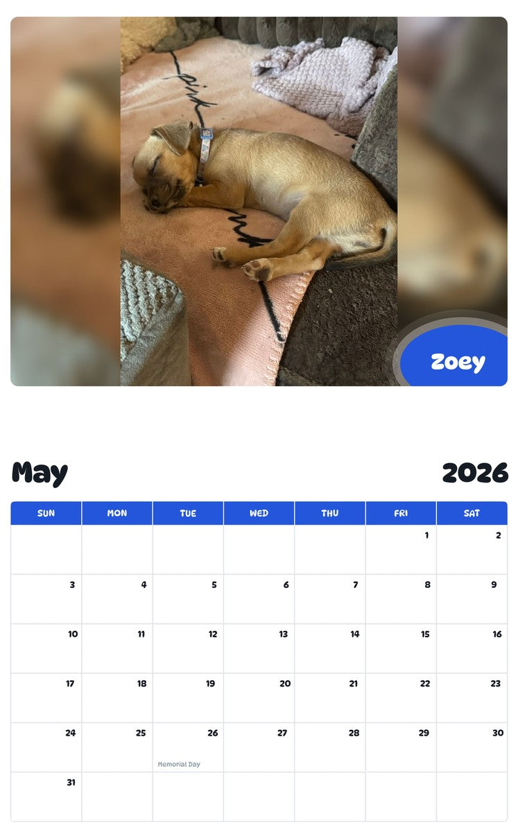 2026 - 2027 Zoey - Pawidols Pet Calendar