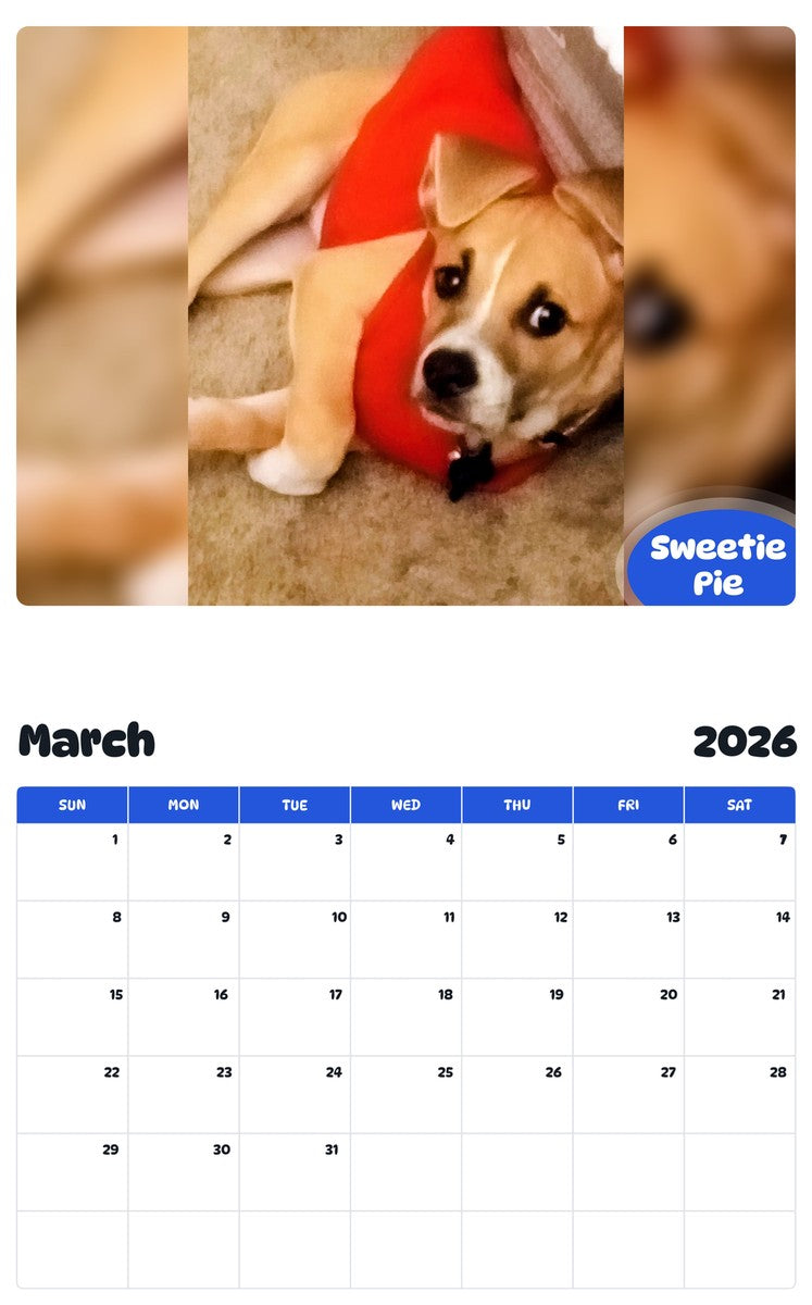 November 2025 - October 2026 Sweetie Pie - Pawidols Pet Calendar
