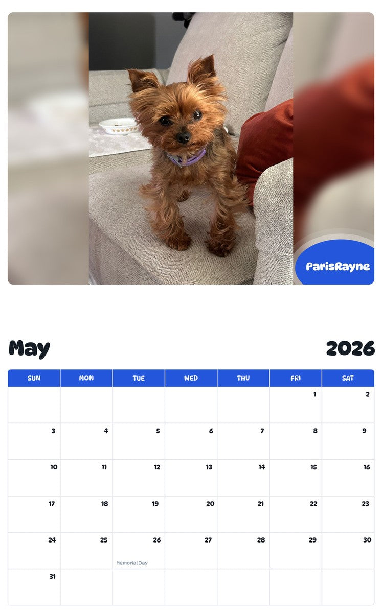 2026 - 2027 ParisRayne - Pawidols Pet Calendar