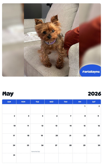 2026 - 2027 ParisRayne - Pawidols Pet Calendar