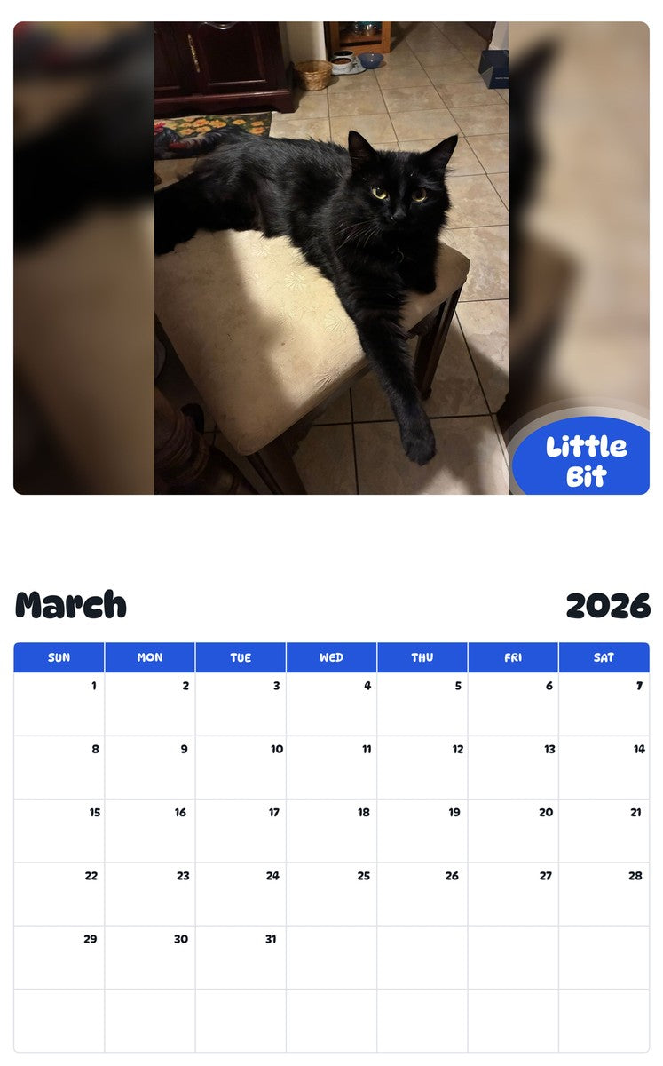 November 2025 - October 2026 Little Bit - Pawidols Pet Calendar