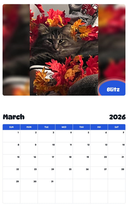November 2025 - October 2026 Blitz - Pawidols Pet Calendar