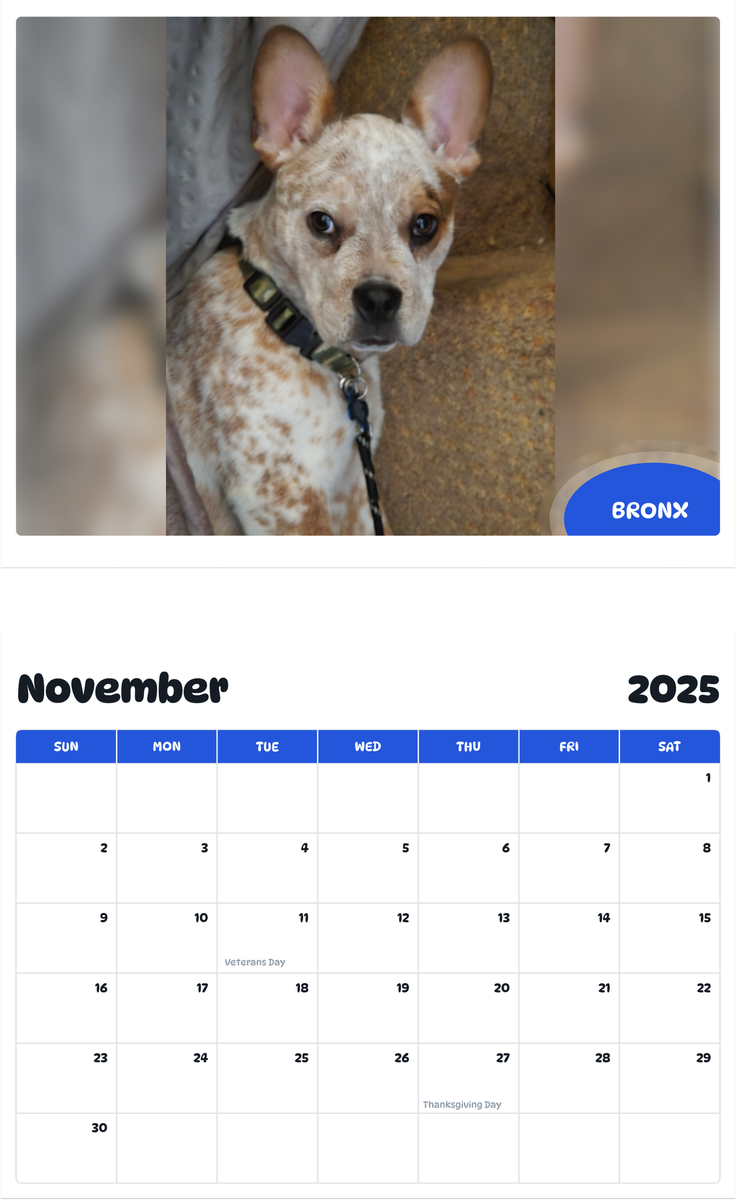 July 2025 - June 2026 Bronx - Pawidols Pet Calendar