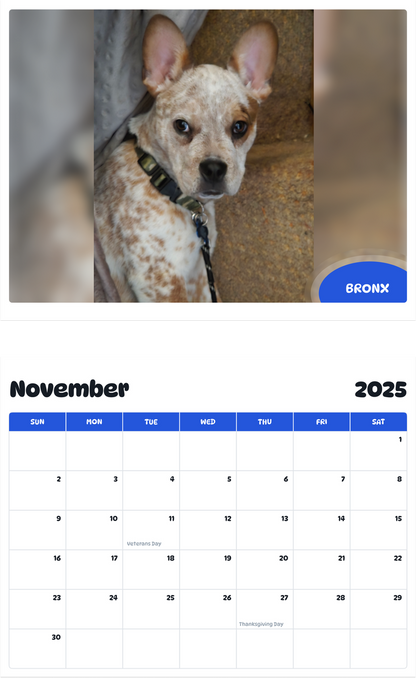 July 2025 - June 2026 Bronx - Pawidols Pet Calendar
