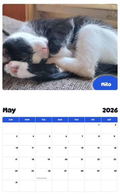2026 - 2027 Milo - Pawidols Pet Calendar