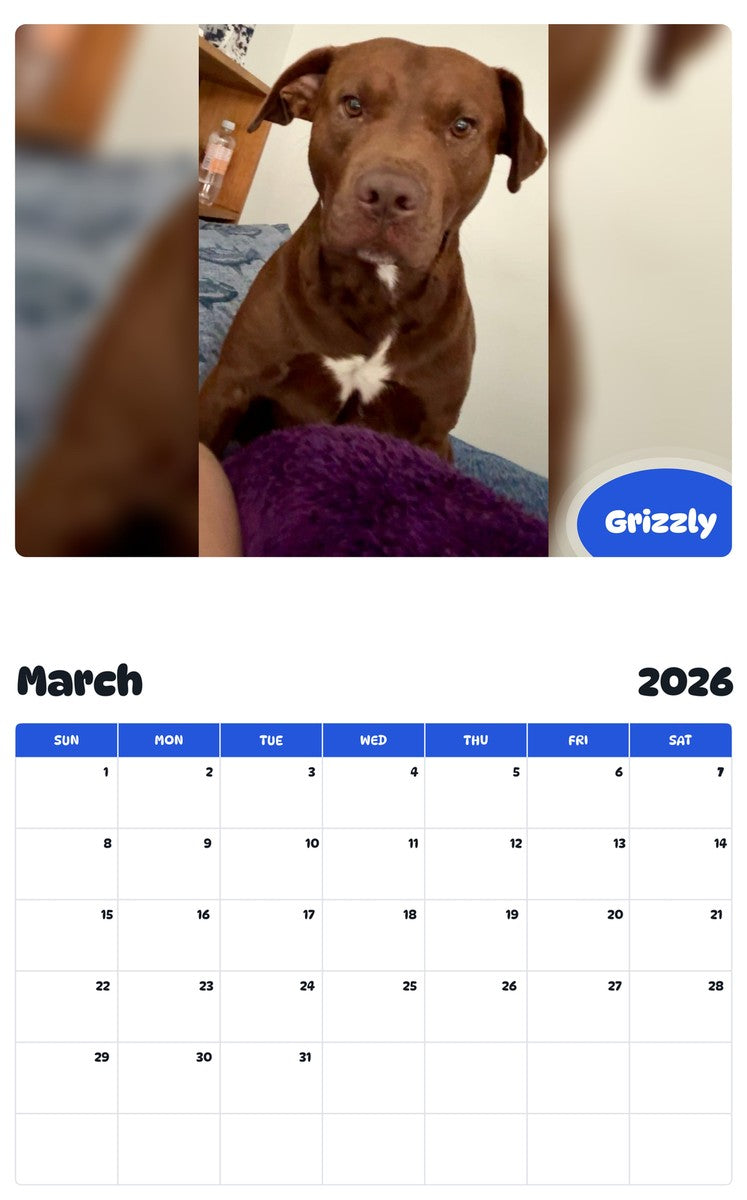 November 2025 - October 2026 Grizzly - Pawidols Pet Calendar