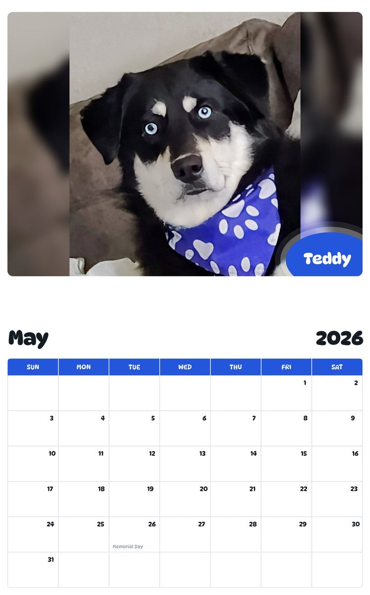 2026 - 2027 Teddy - Pawidols Pet Calendar