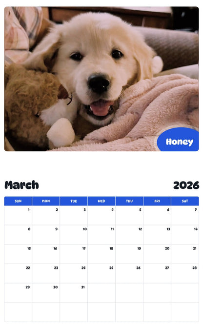 November 2025 - October 2026 Honey - Pawidols Pet Calendar