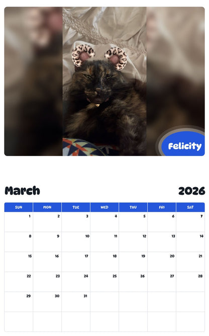 November 2025 - October 2026 Felicity - Pawidols Pet Calendar