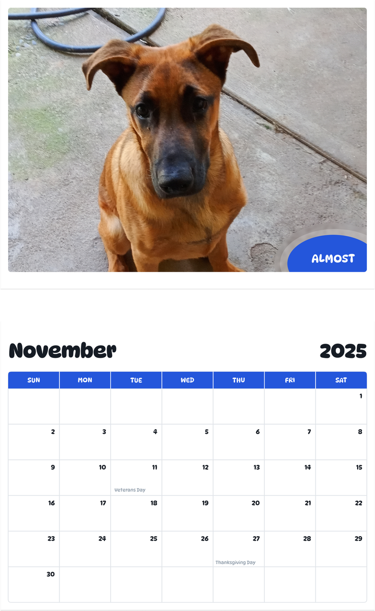 July 2025 - June 2026 Almost - Pawidols Pet Calendar