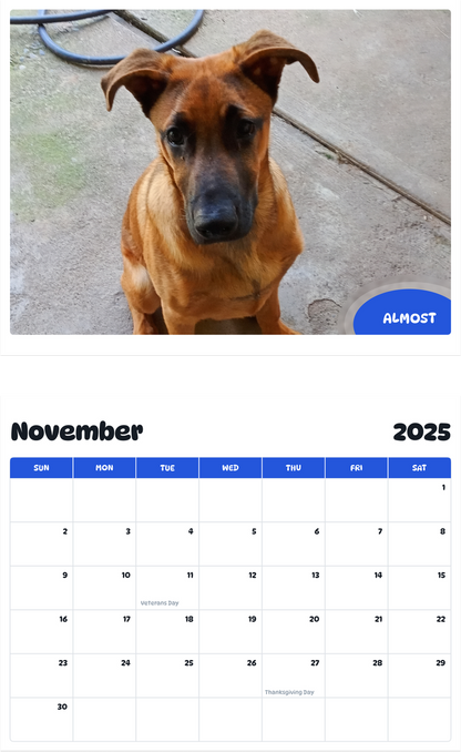 July 2025 - June 2026 Almost - Pawidols Pet Calendar