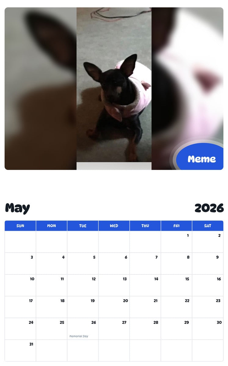2026 - 2027 Meme - Pawidols Pet Calendar