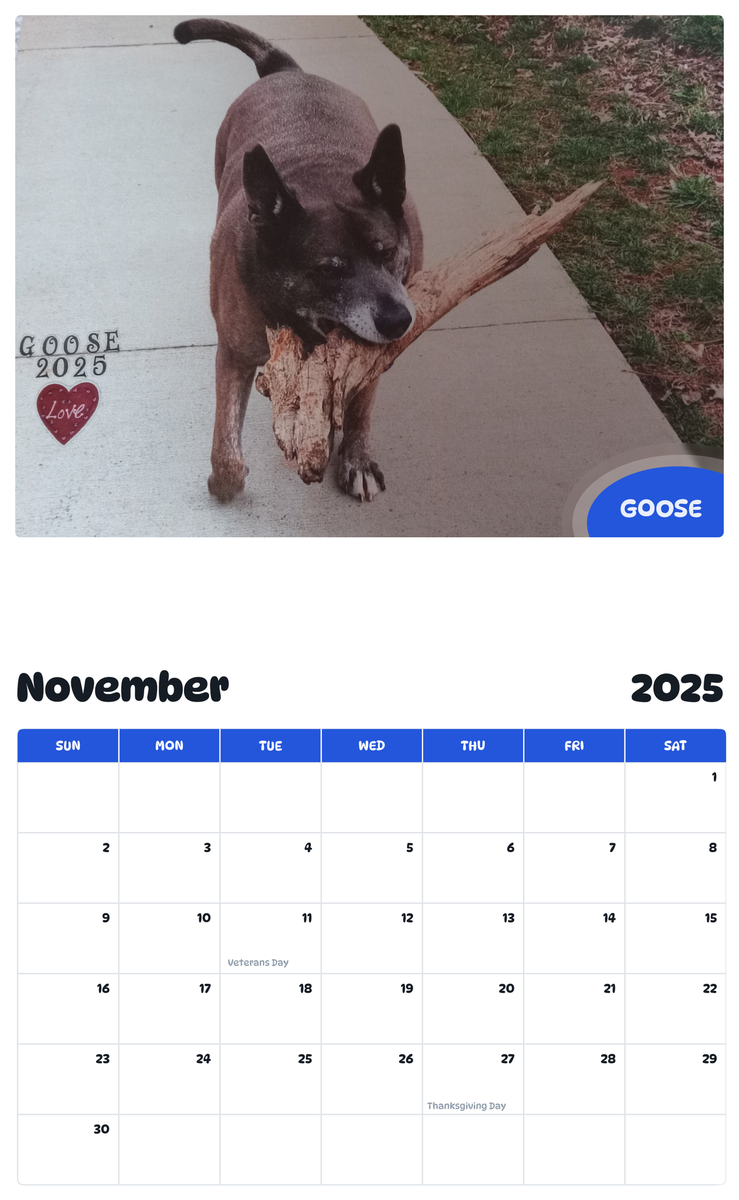 July 2025 - June 2026 Goose - Pawidols Pet Calendar