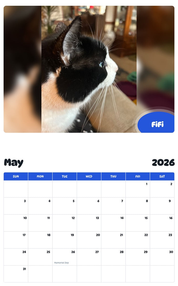 2026 - 2027 FiFi - Pawidols Pet Calendar