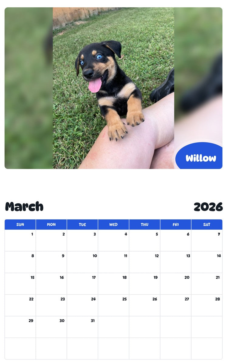 November 2025 - October 2026 Willow - Pawidols Pet Calendar