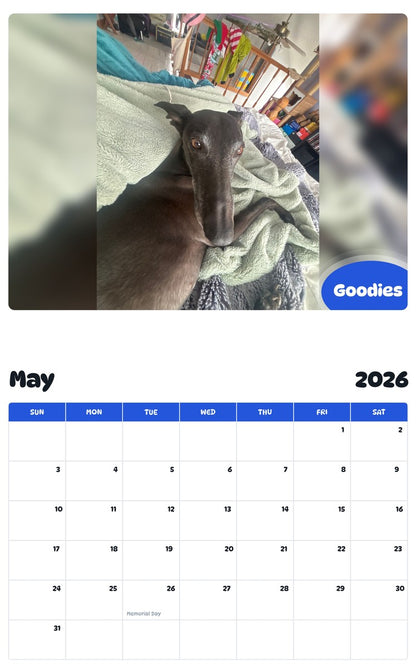 2026 - 2027 Goodies - Pawidols Pet Calendar