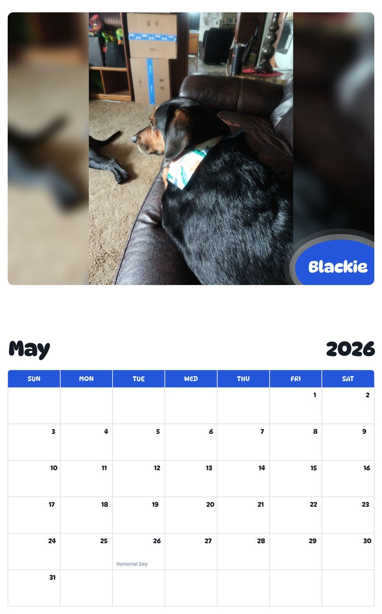 2026 - 2027 Blackie - Pawidols Pet Calendar