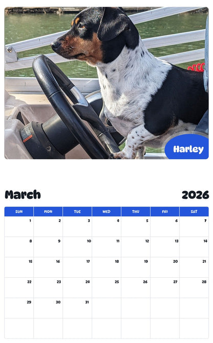 November 2025 - October 2026 Harley - Pawidols Pet Calendar
