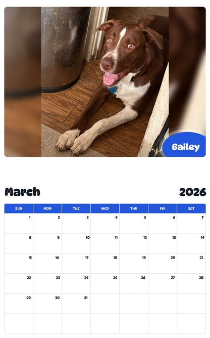 November 2025 - October 2026 Bailey - Pawidols Pet Calendar