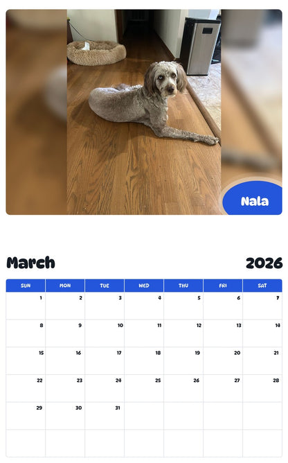 November 2025 - October 2026 Nala - Pawidols Pet Calendar