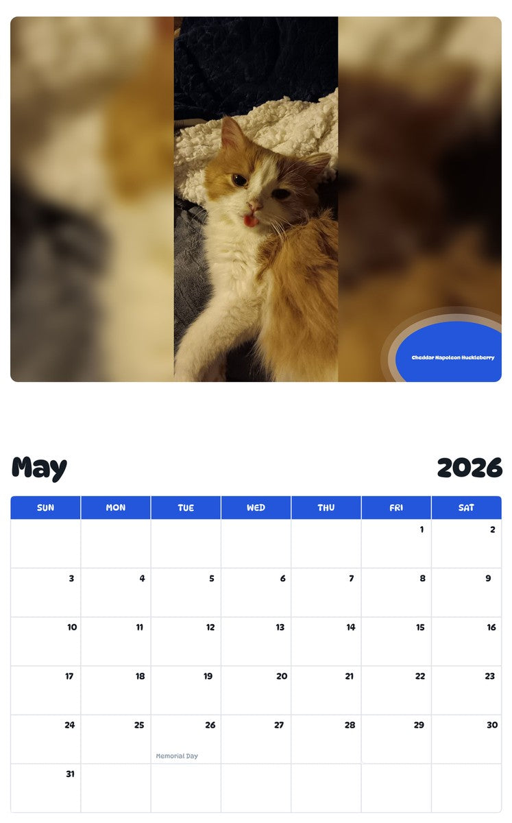 2026 - 2027 Cheddar Napoleon Huckleberry - Pawidols Pet Calendar