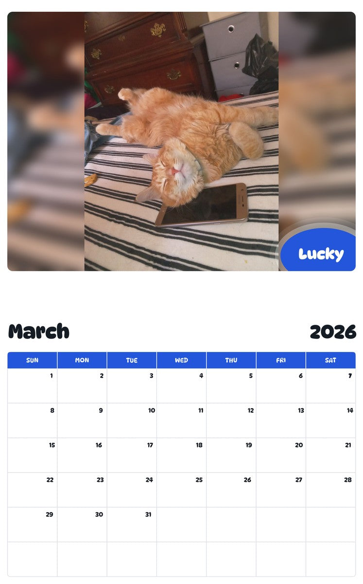November 2025 - October 2026 Lucky - Pawidols Pet Calendar