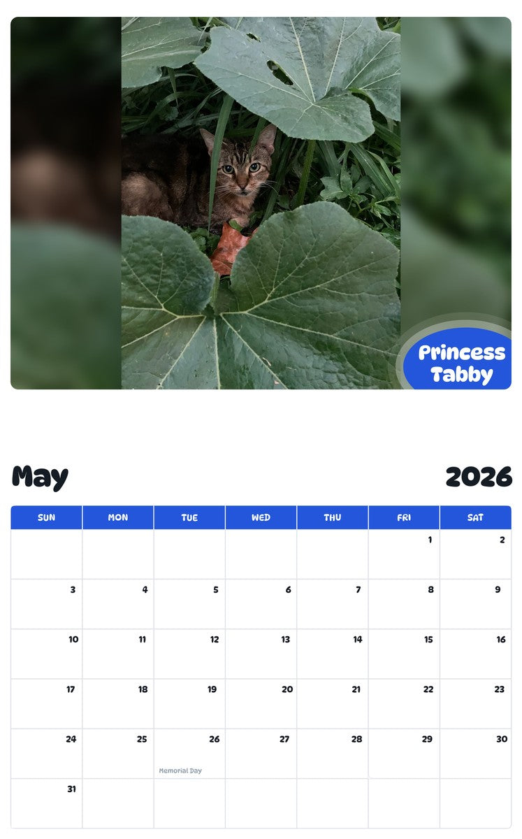 2026 - 2027 Princess Tabby - Pawidols Pet Calendar