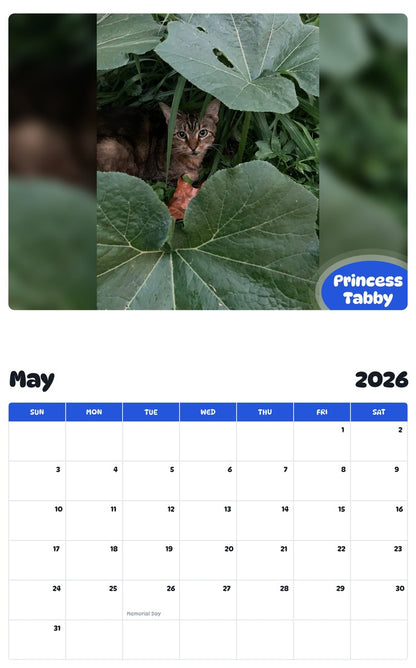 2026 - 2027 Princess Tabby - Pawidols Pet Calendar