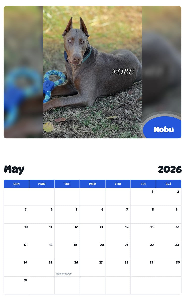2026 - 2027 Nobu - Pawidols Pet Calendar