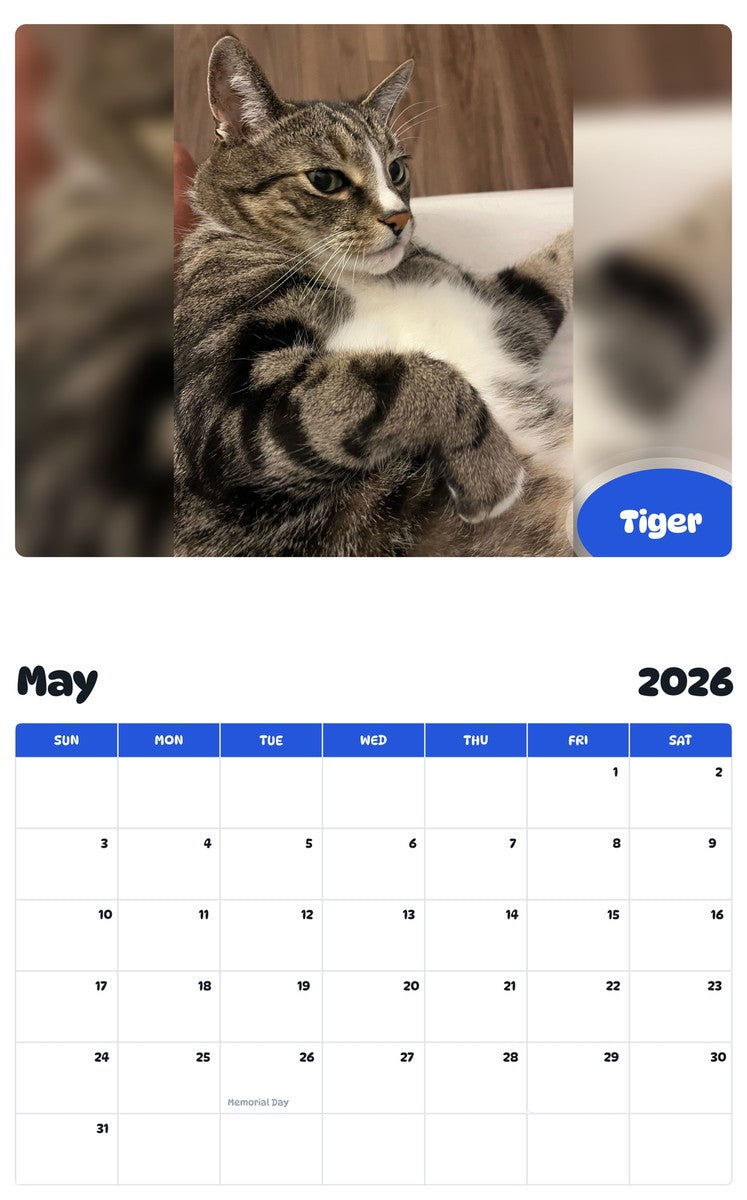 2026 - 2027 Tiger - Pawidols Pet Calendar