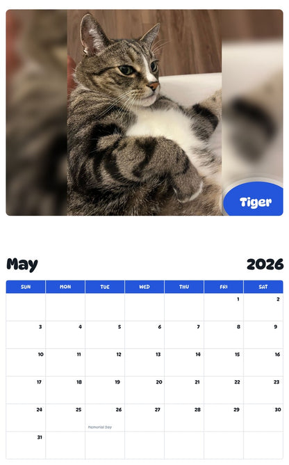 2026 - 2027 Tiger - Pawidols Pet Calendar