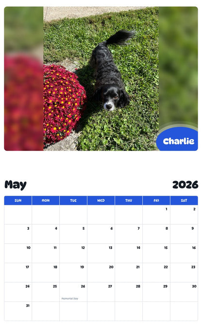 2026 - 2027 Charlie - Pawidols Pet Calendar