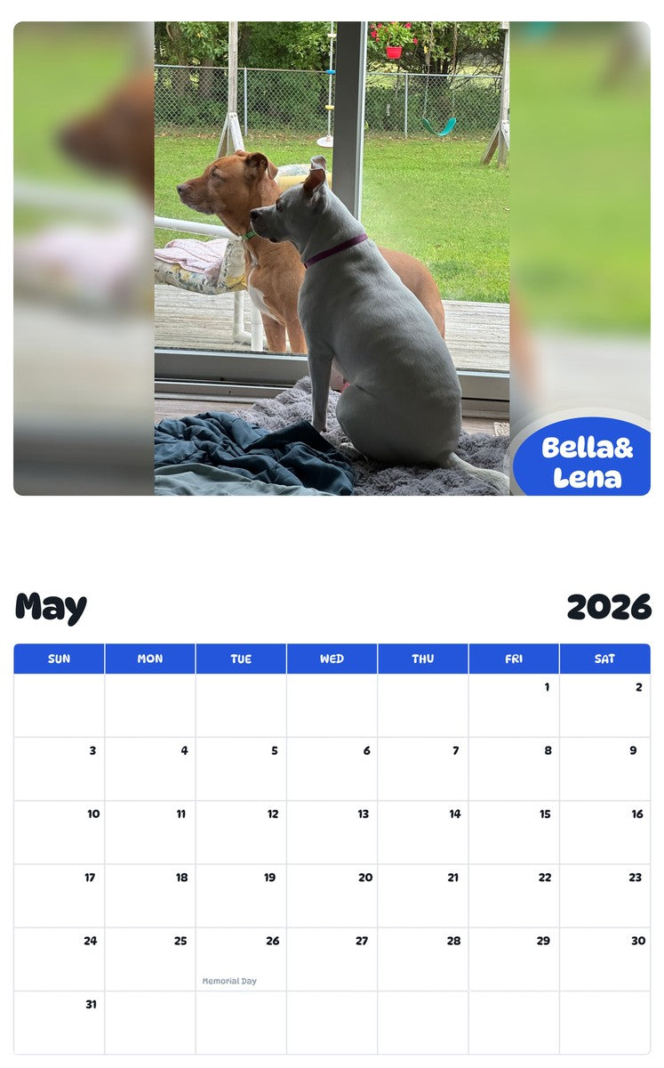 2026 - 2027 Bella& Lena - Pawidols Pet Calendar