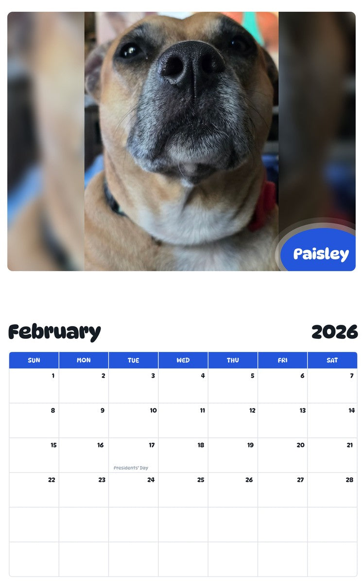 October 2025 - September 2026 Paisley - Pawidols Pet Calendar