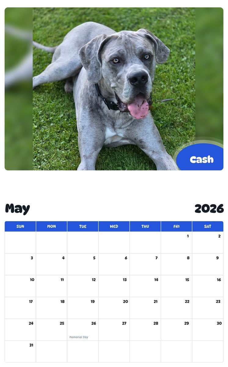 2026 - 2027 Cash - Pawidols Pet Calendar