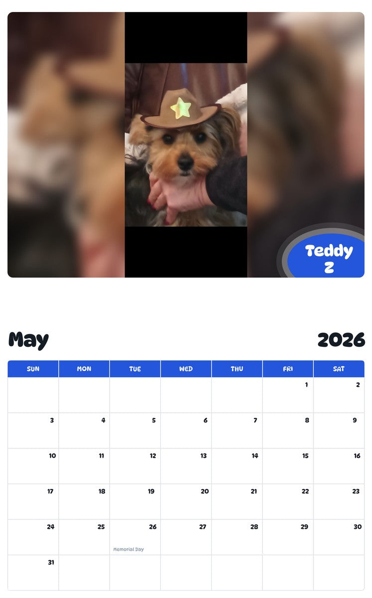 2026 - 2027 Teddy Z - Pawidols Pet Calendar
