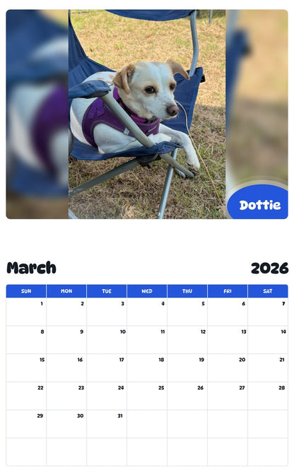 November 2025 - October 2026 Dottie - Pawidols Pet Calendar