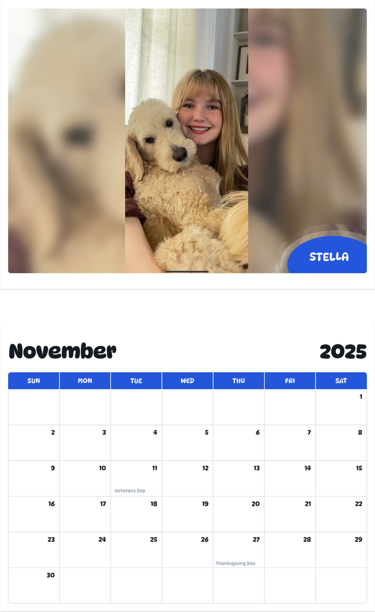July 2025 - June 2026 STELLA - Pawidols Pet Calendar