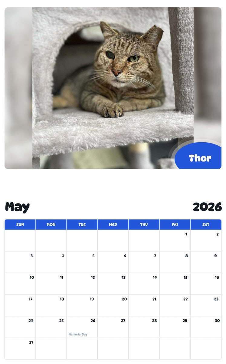 2026 - 2027 Thor - Pawidols Pet Calendar