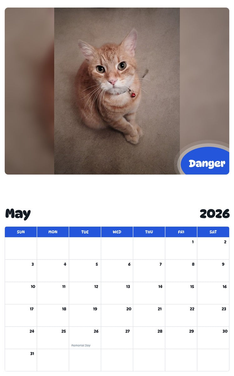 2026 - 2027 Danger - Pawidols Pet Calendar