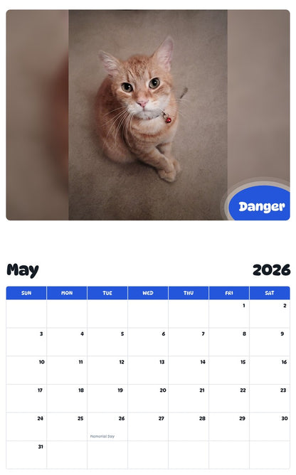 2026 - 2027 Danger - Pawidols Pet Calendar
