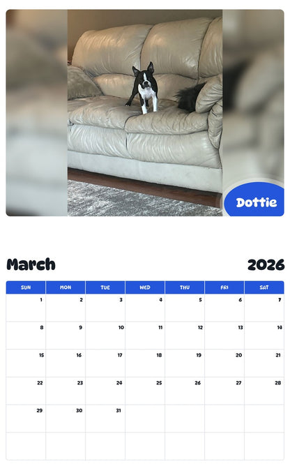 November 2025 - October 2026 Dottie - Pawidols Pet Calendar