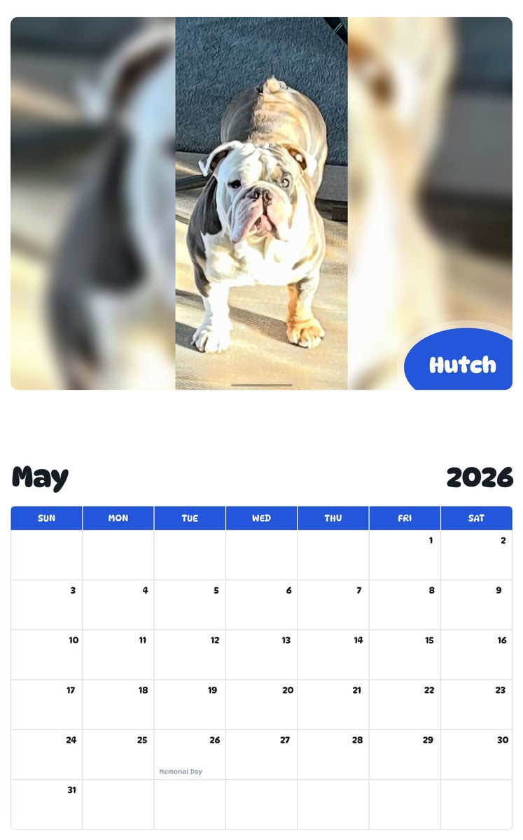 2026 - 2027 Hutch - Pawidols Pet Calendar