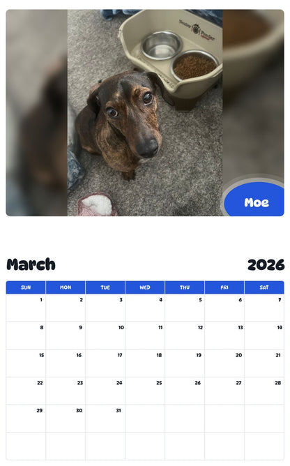 November 2025 - October 2026 Moe - Pawidols Pet Calendar