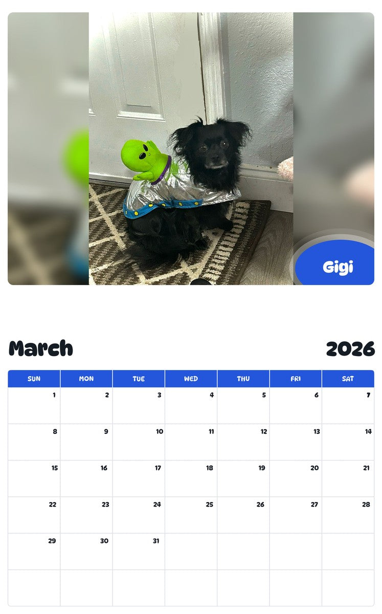 November 2025 - October 2026 Gigi - Pawidols Pet Calendar