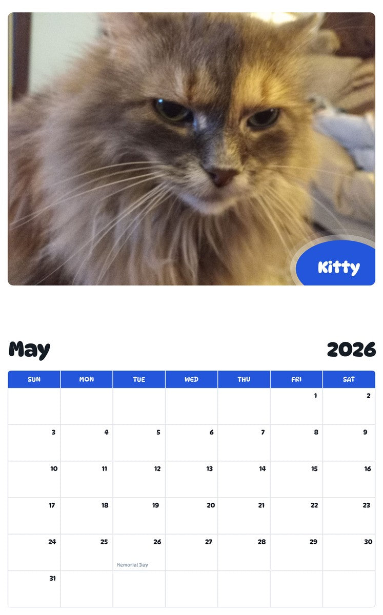 2026 - 2027 Kitty - Pawidols Pet Calendar