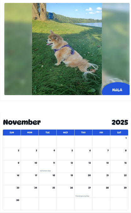 July 2025 - June 2026 Nala - Pawidols Pet Calendar