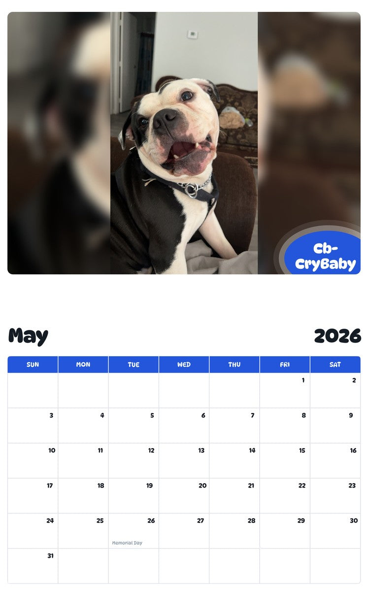 2026 - 2027 Cb- CryBaby - Pawidols Pet Calendar