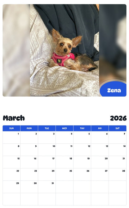 November 2025 - October 2026 Zena - Pawidols Pet Calendar