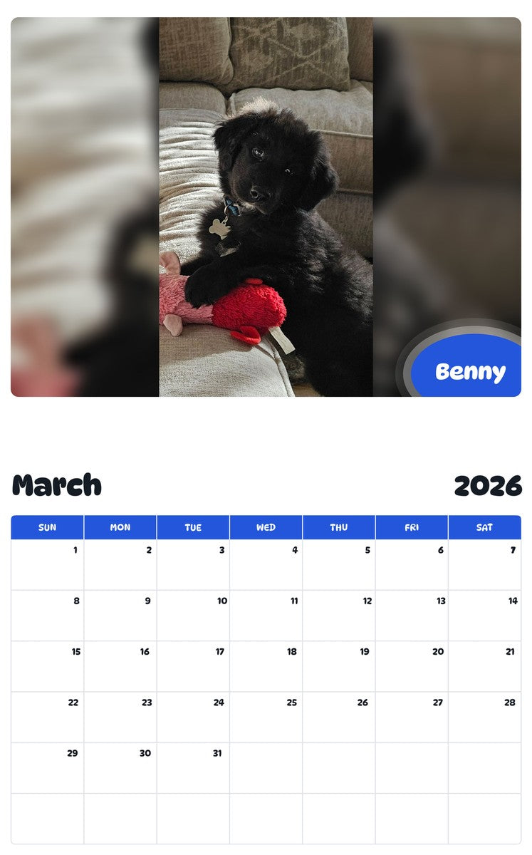 November 2025 - October 2026 Benny - Pawidols Pet Calendar
